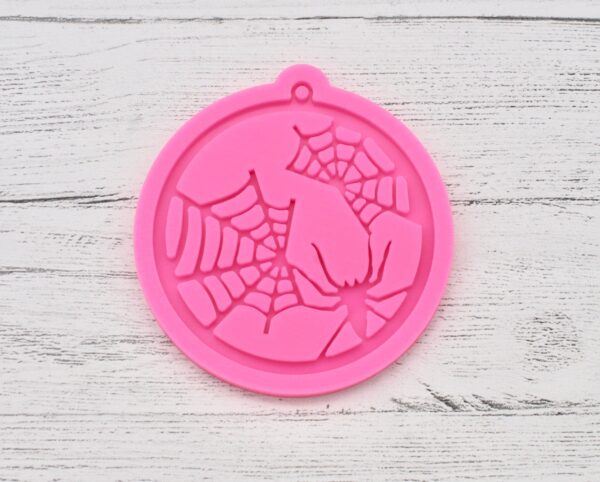 Spider and Web Silicone Mould